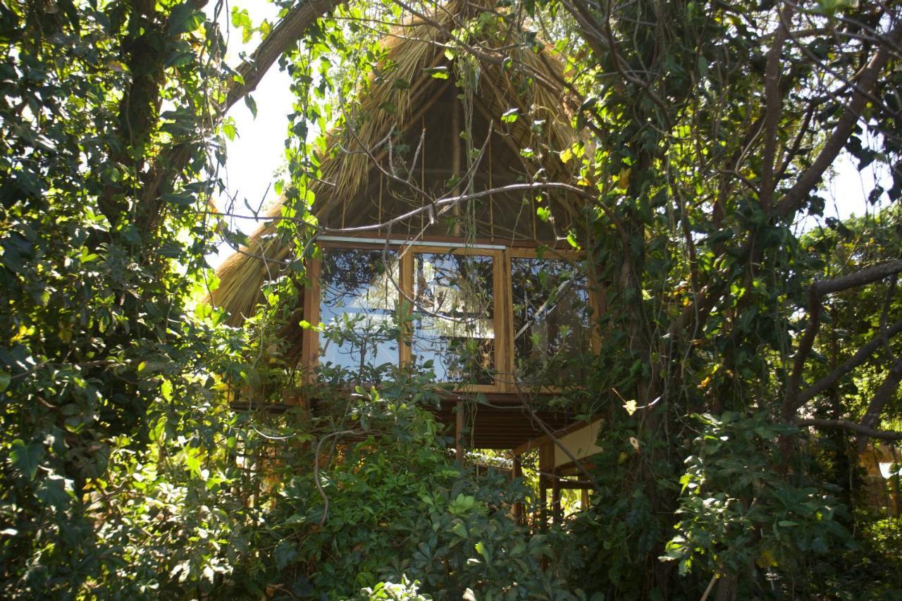 El Pital, Chocolate Paradise Бальге Экстерьер фото